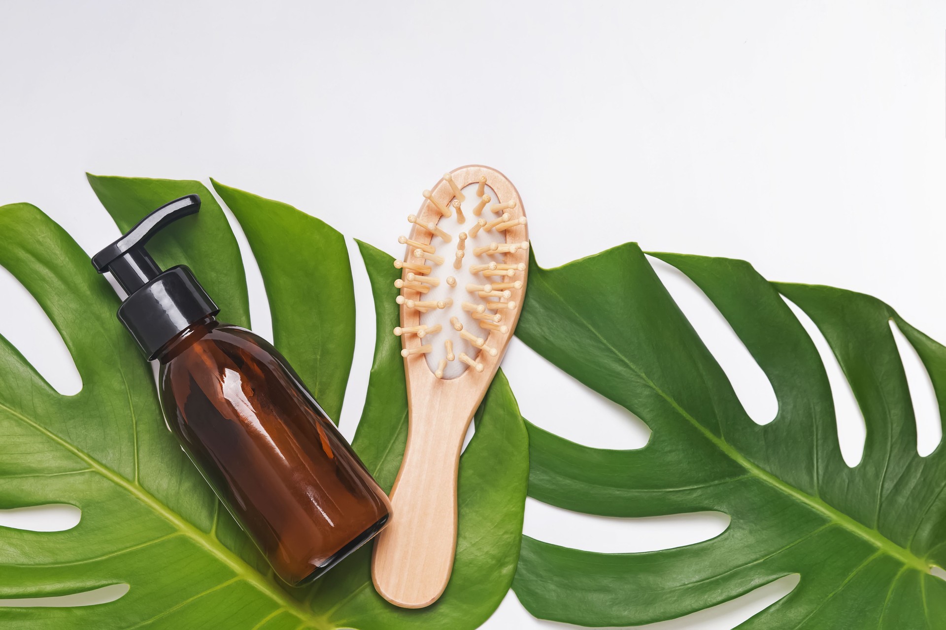 Minimalist lifestyle hair care. Shampoo and wooden hair brush on monstera leaves.